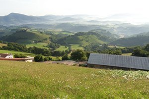 camino-fances-leon-sarria-itinerario7