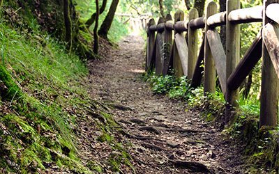 camino-finisterre-detalles