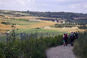 camino-frances-cruzando-galicia-itinerario5