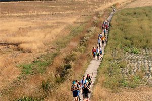 camino-frances-cruzando-galicia-itinerario9