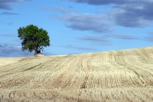 camino-frances-estella-burgos-itinerariocopia5