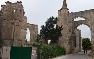 camino-frances-saint-jean-santiago-detalles