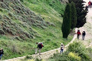 camino_frances_saint_estella_itinerario6