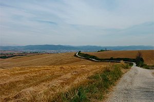 ciudades-camino-itinerario-pamplona-