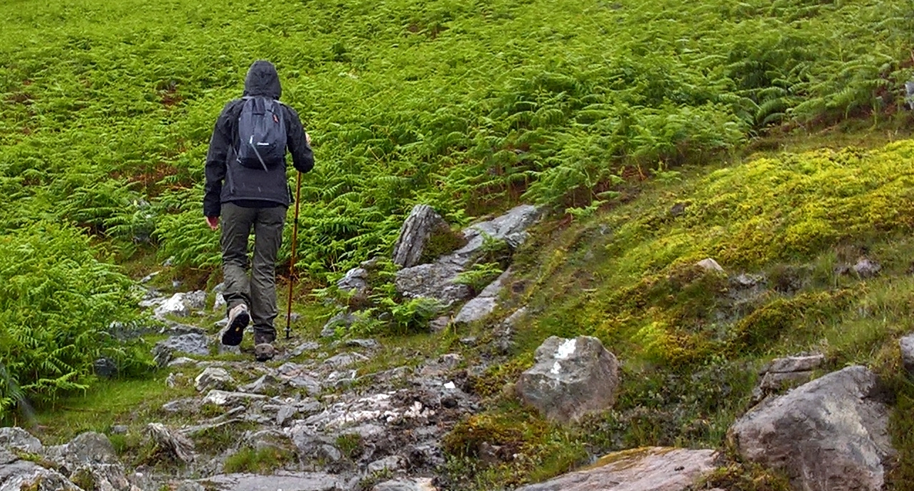 The Celtic Camino Begin Your Camino de Santiago Journey with a Pilgrimage Walk in Ireland