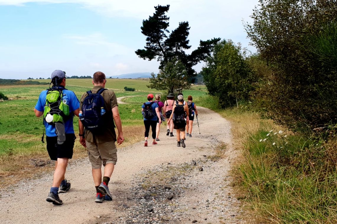 camino trips from ireland